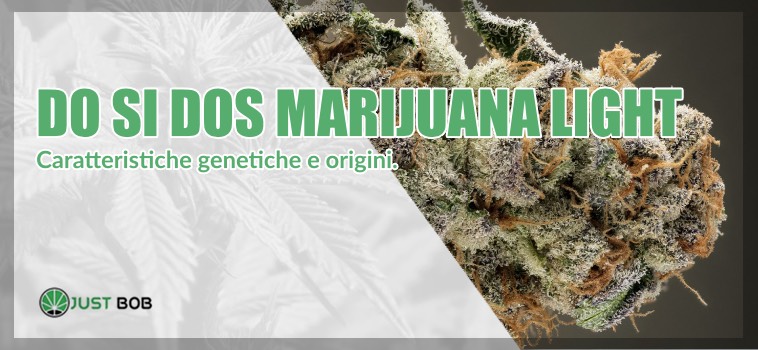 marijuana light do si dos origini