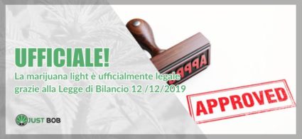 marijuanal-light-legge-bilancio-2019 marijuana light legge bilancio 12 dicembre 2019