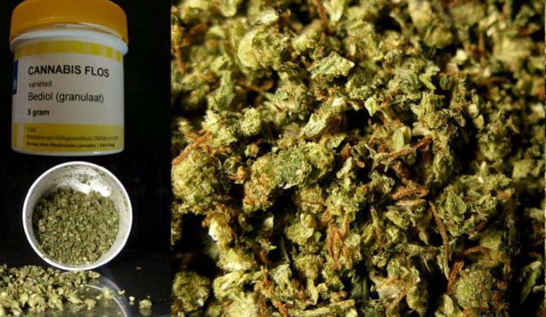 Bediol cbd terapia del dolore