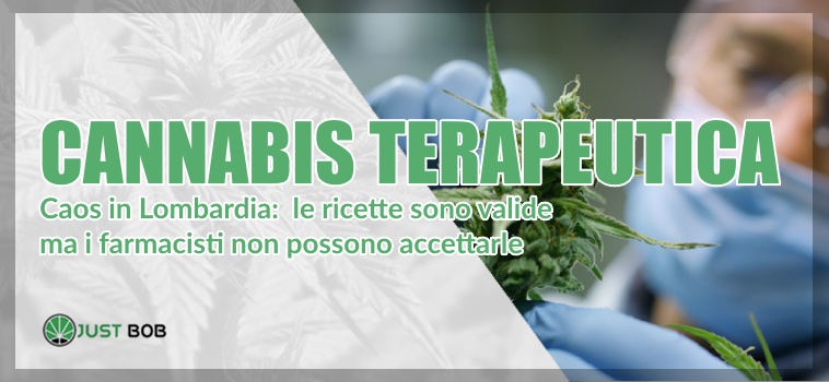 cannabis terapeutica caos in Lombardia