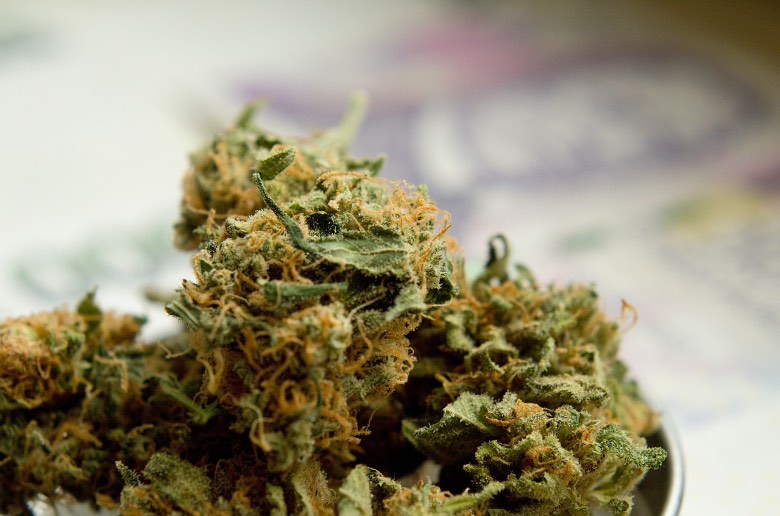 effetti THCP fitocannabinoide della cannabis