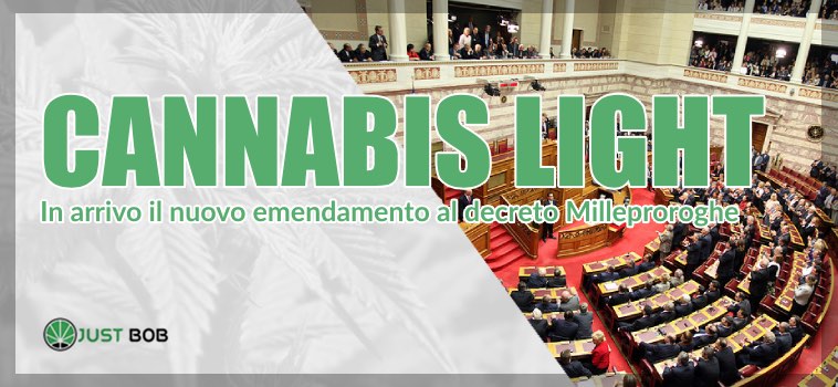 emendamento Cannabis Light Milleproroghe