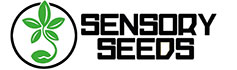 Sensory Seeds - Semi di Marijuana Online