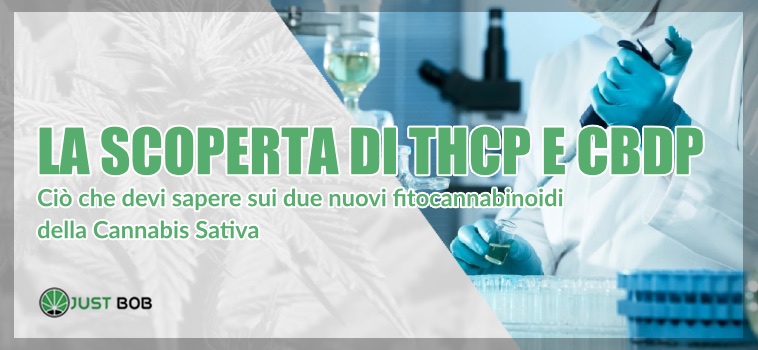 thcp e cbdp nella cannabis sativa