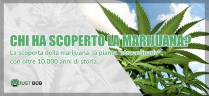 chi ha scoperto marijuana light