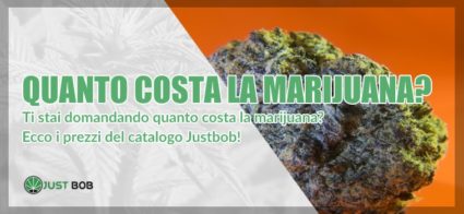 quanto costa la marijuana legale