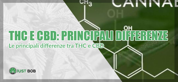 differenza tra thc e cbd