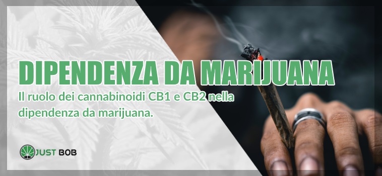 dipendenza da marijuana legale