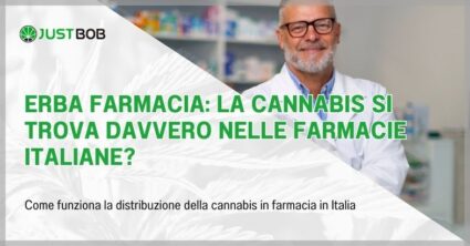 Erba farmacia: la Cannabis si trova davvero nelle farmacie italiane?
