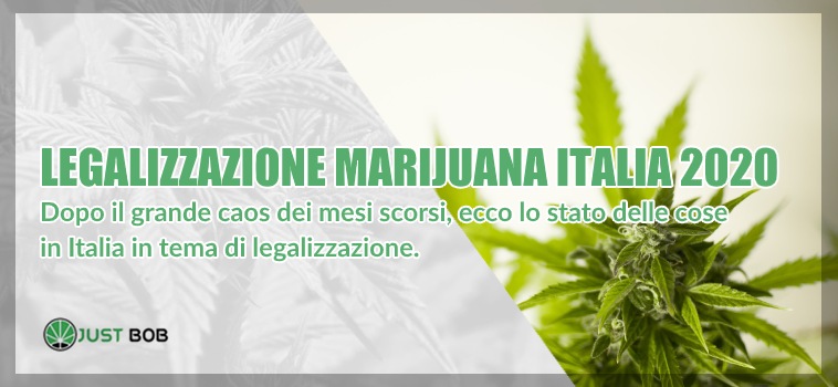 legalizzazione canapa light italia 2020