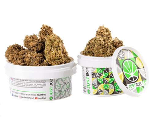 Fiori di Cannabis Light Outdoor Mix in contenitore bianco