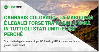 Cannabis Colorado : la marijuana è legale