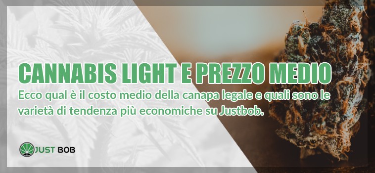 cannabis light prezzo