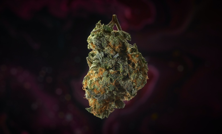 legalizzazione cannabis light situazione italia