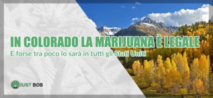 marijuana legale in Colorado