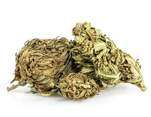 Cannabis light Outdoor buds mix