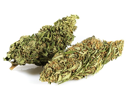 Cannabis light Outdoor buds mix