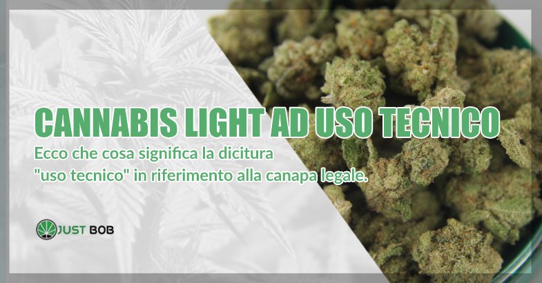 Cannabis Light Ad Uso Tecnico Justbob