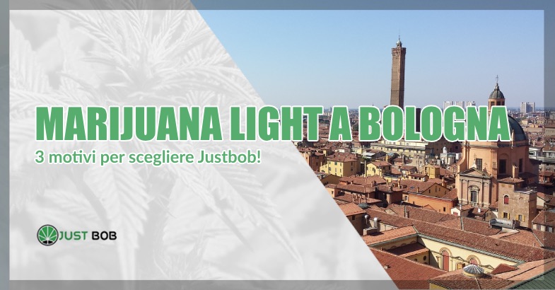 Marijuana light Bologna