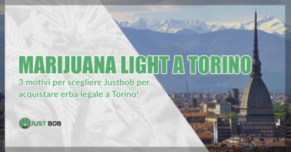 Marijuana light a Torino