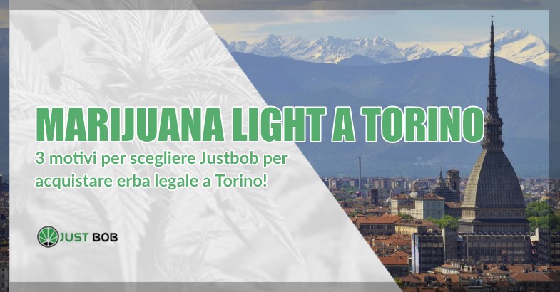 Marijuana light a Torino