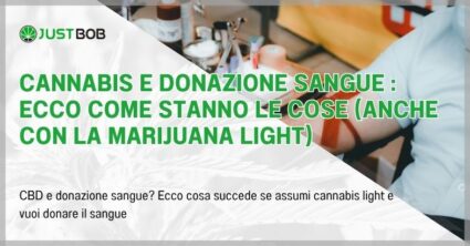 Cannabis e donazione sangue : ecco come stanno le cose