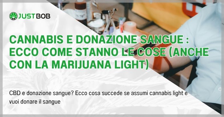 Cannabis e donazione sangue : ecco come stanno le cose