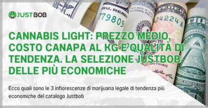 Cannabis light: prezzo medio, costo canapa al kg