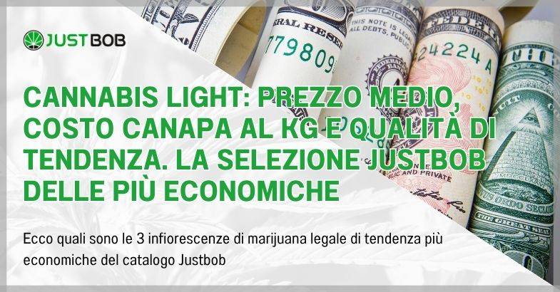 Cannabis light: prezzo medio, costo canapa al kg