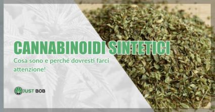 Cannabinoidi sintetici e cannabis light