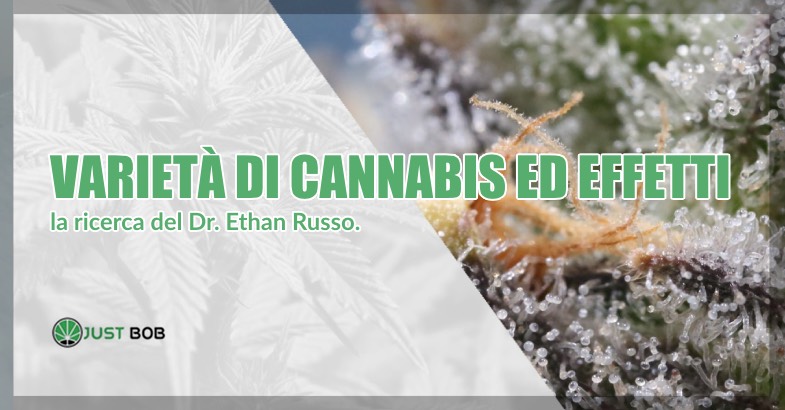 Varietà di cannabis ed effetti dottor Ethan russo