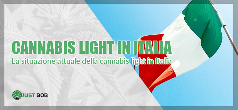 la situazione attula riguardo la cannabis light in italia