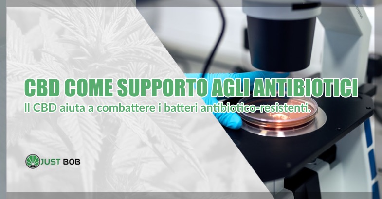 cbd contro batteri antibiotico resistenti