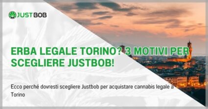Erba legale Torino? 3 motivi per scegliere Justbob!