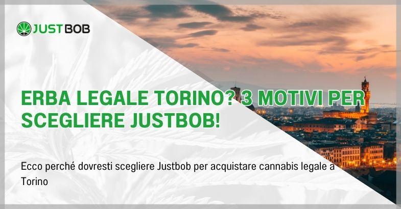 Erba legale Torino? 3 motivi per scegliere Justbob!