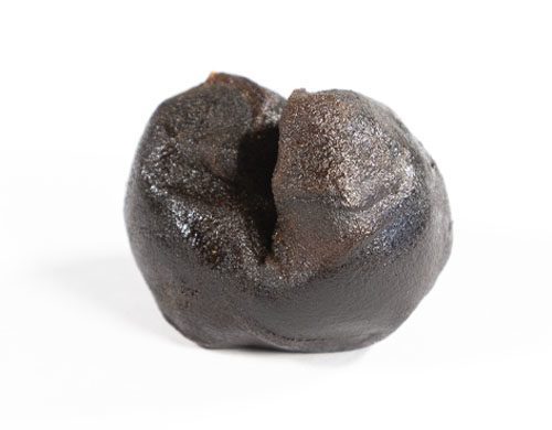 Hashish legale modellato Forbidden Fruit