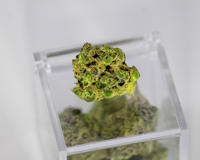 thc e cbd responsabili degli effetti cannabis
