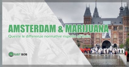 Amsterdam marijuana legale