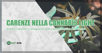 Carenze nella Cannabis light