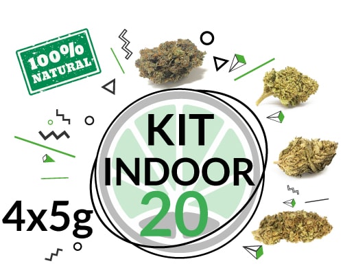 Justbob Cannabis legale