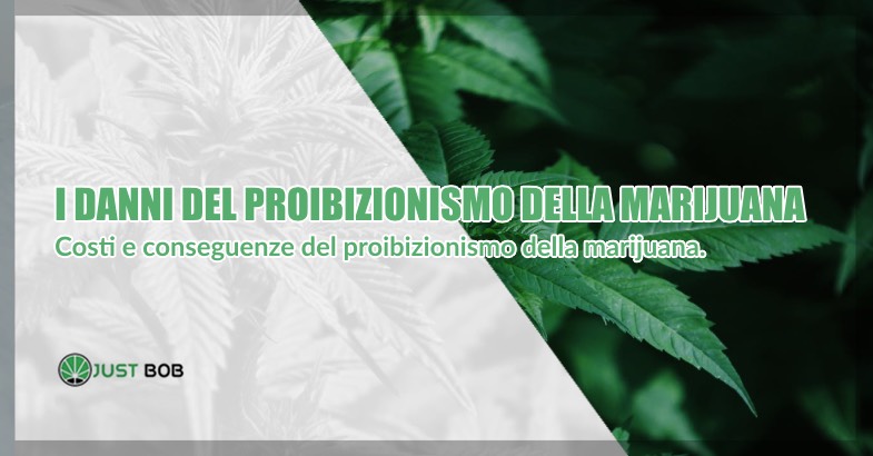 danni proibizionismo marijuana