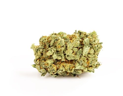 Cannabis Light Purple GG #4