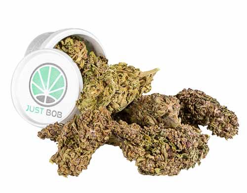 Purple GG 4 marijuana legale