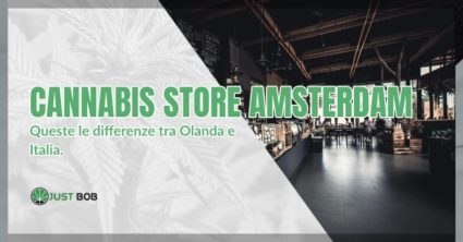 Cannabis Store Amsterdam marijuana legale
