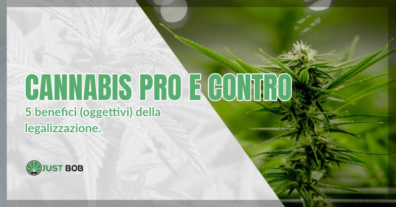 Cannabis pro e contro