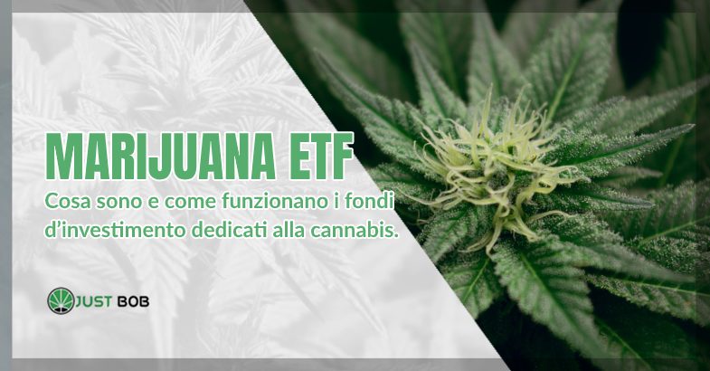 Marijuana ETF