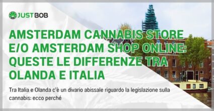 Amsterdam Cannabis Store e/o Amsterdam Shop Online