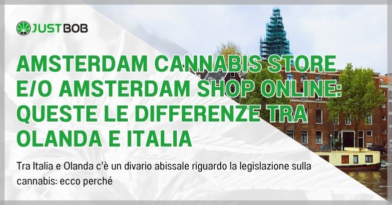 Amsterdam Cannabis Store e/o Amsterdam Shop Online