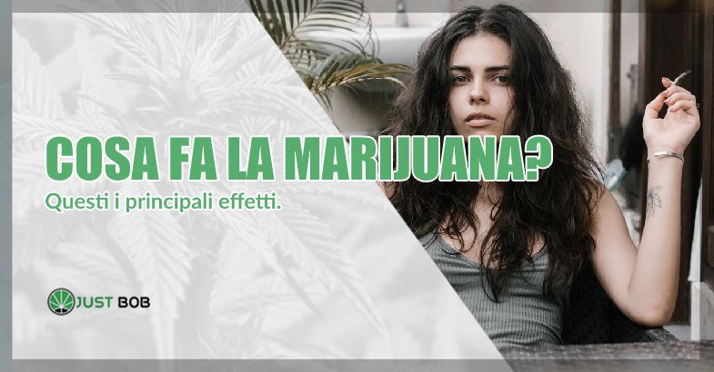 Cosa fa la marijuana