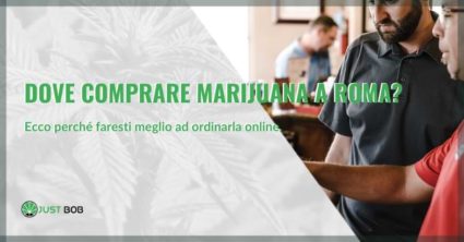 Dove comprare la marijuana a Roma città